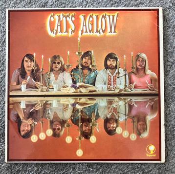 The Cats Cats Aglow beschikbaar voor biedingen