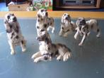 SET VAN 5 IERSE SETTERS, Ophalen of Verzenden, Zo goed als nieuw, Dier