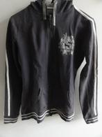 Grijs vest Anni Rolfi L, Kleding | Dames, Maat 42/44 (L), Anni rolfi, Ophalen of Verzenden, Zo goed als nieuw