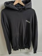 FOUR Amsterdam sweatvest Hoodie grey!, Ophalen, Zo goed als nieuw, Grijs