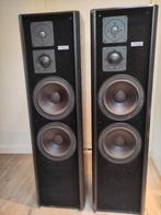 Magnat MSP-300 luidsprekers All-Ribbon dubbele bas, topstaat, Ophalen, Gebruikt, Magnat, 120 watt of meer