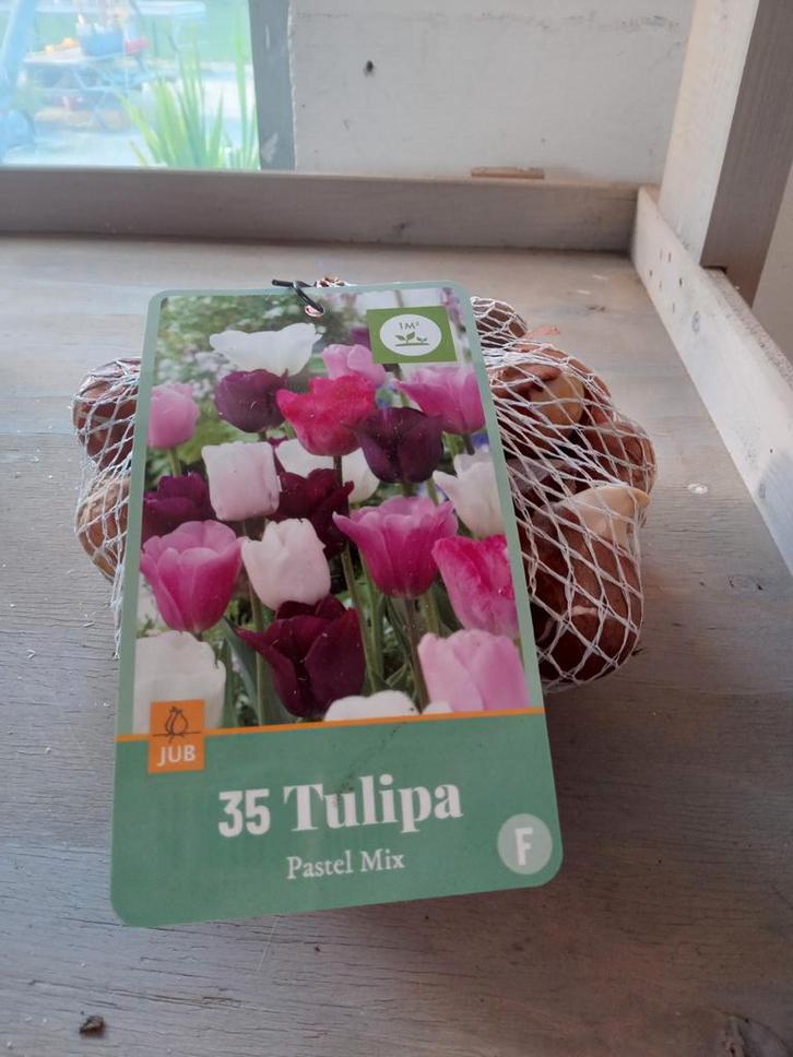 Actie Tulpen mix pastel, Tuin en Terras, Bloembollen en Zaden, Volle zon, Ophalen of Verzenden