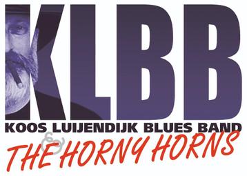 Bassist en toetsenist gezocht. Blues with a touch of Jazz beschikbaar voor biedingen