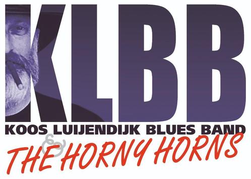 Bassist en toetsenist gezocht. Blues with a touch of Jazz, Contacten en Berichten, Muziek maken en Bandleden