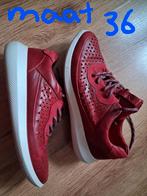 ECCO Scinapse schoenen maat 36 Rood/Chili red/Brick, Ophalen, Zo goed als nieuw, Rood, Sneakers of Gympen
