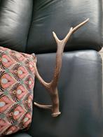 Hertengewei 53 cm. Lang, Verzamelen, Ophalen of Verzenden, Paard, Beeldje of Figuurtje