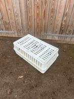 Te koop: 3x Transportkisten voor Pluimvee!, Ophalen, Zo goed als nieuw, Drinken en Voederen