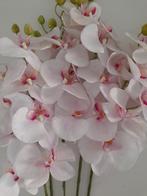 Intratuin kunst orchidee 5 st. 80 cm, Huis en Inrichting, Woonaccessoires | Kunstplanten en Kunstbloemen, Ophalen, Zo goed als nieuw