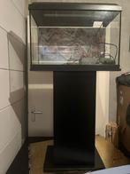 Juwel Primo 70 Aquarium met meubel, Dieren en Toebehoren, Vissen | Aquaria en Toebehoren, Ophalen, Gebruikt, Leeg aquarium