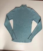 Turquoise trui, Kleding | Dames, Truien en Vesten, Ophalen of Verzenden, Zo goed als nieuw, Overige kleuren