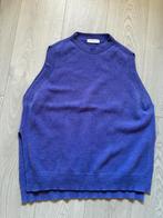 Spencer Alexandre Laurent, Paars, Maat 46/48 (XL) of groter, Alexandre Laurent, Ophalen of Verzenden