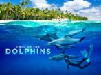 2 tickets voor de film Call of the Dolphins - Omniversum, Twee personen, Vrijkaartje specifieke film