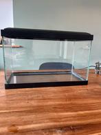 Klein aquarium, Dieren en Toebehoren, Ophalen, Gebruikt, Leeg aquarium