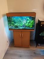 Juwel aquarium, Dieren en Toebehoren, Vissen | Aquaria en Toebehoren, Gebruikt, Ophalen, Gevuld zoetwateraquarium