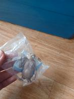 E.T. poppetje, Ophalen of Verzenden, Zo goed als nieuw