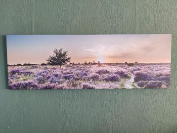 Muur decoratie  beschikbaar voor biedingen