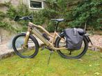 Speedpedelec, zeer Mooie Stromer ST1X. Accu 10 maanden oud., Ophalen, Zo goed als nieuw, 50 km per accu of meer, Overige merken