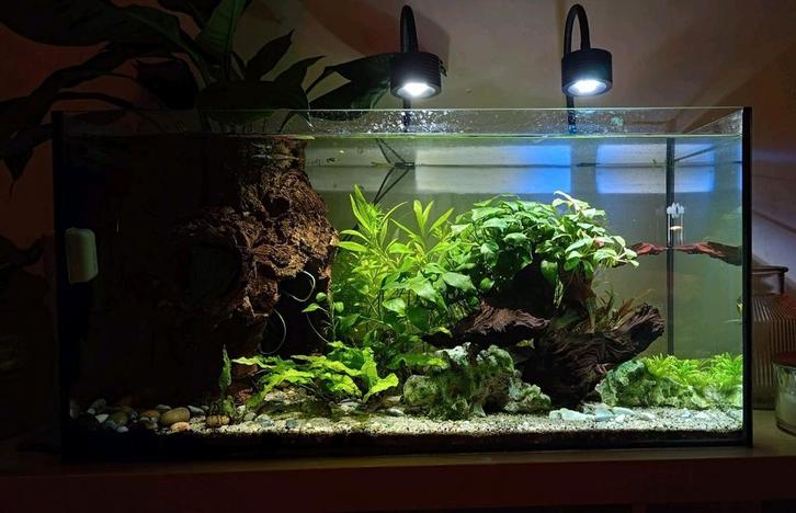 Aquarium met toebehoren (112L), Dieren en Toebehoren, Vissen | Aquaria en Toebehoren, Zo goed als nieuw, Leeg aquarium, Ophalen