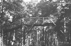 44454	Driebergen	Zwitserschebrug	 	Gelopen met Postzegel, Verzamelen, Ansichtkaarten | Nederland, 1940 tot 1960, Gelopen, Utrecht