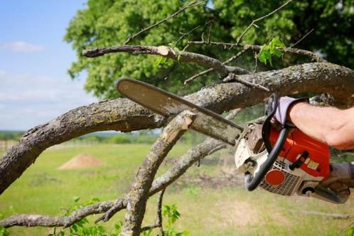 kettingzagen gazonmaaier grasmaaier heggenscharen, Tuin en Terras, Hand-tuingereedschap, Gebruikt, Overige soorten, Ophalen