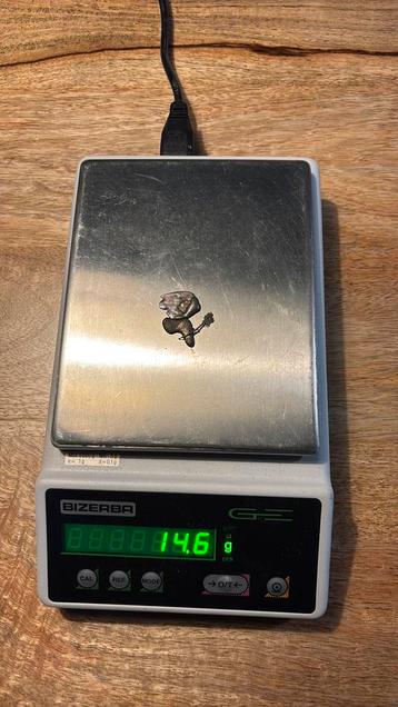 14,6 gram dentaal goud beschikbaar voor biedingen