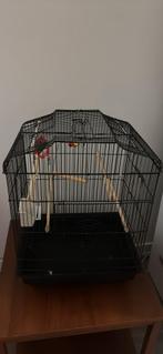 Vogelkooi met toebehoren in goede staat !, Dieren en Toebehoren, Vogels | Hokken en Kooien, Ophalen, Zo goed als nieuw, Metaal