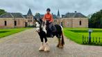 Bijrij/leas paard gezocht, Dieren en Toebehoren, Paarden en Pony's | Overige Paardenspullen, Ophalen of Verzenden, Nieuw