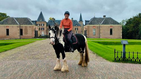 Bijrij/leas paard gezocht, Dieren en Toebehoren, Paarden en Pony's | Overige Paardenspullen, Nieuw, Ophalen of Verzenden