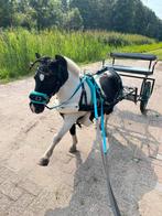 Sulky Gezocht 16", Ophalen, Overige soorten