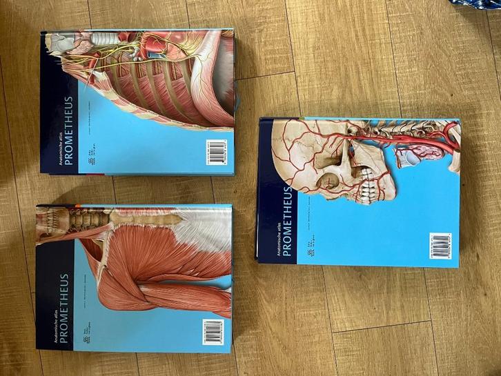Prometheus anatomische atlas schunke schulte schumacher, Boeken, Studieboeken en Cursussen, Zo goed als nieuw, WO, Beta, Ophalen of Verzenden