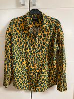 Blouse scotch en soda maat S, Ophalen of Verzenden, Zo goed als nieuw, Maat 36 (S), Scotch en soda