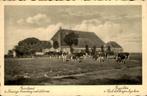 Friesland - Boerderij - Koeien, Ophalen of Verzenden, Voor 1920, Gelopen, Friesland