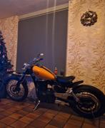 Suzuki ls650, Particulier