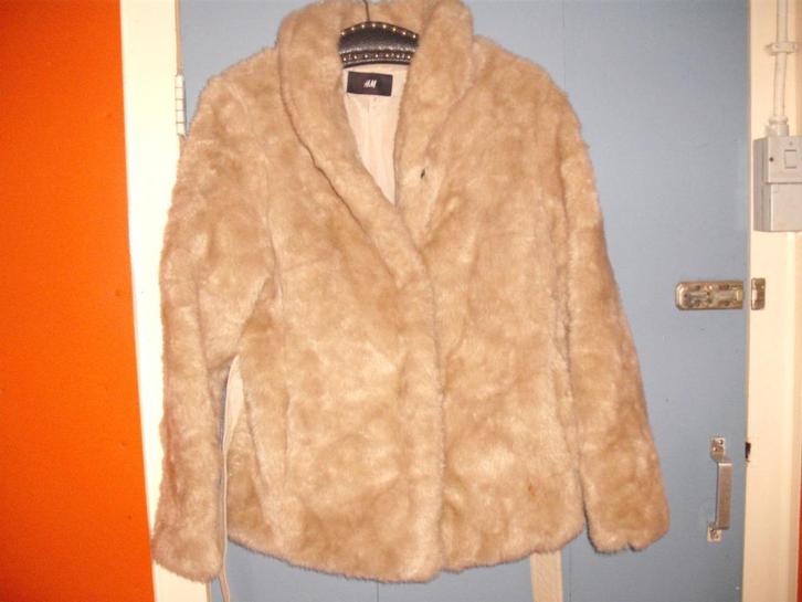 H&M kort bontjasje mt 38/40 imitatiebont fake-fur nepbont, Kleding | Dames, Jassen | Winter, Gedragen, Maat 38/40 (M), Bruin, Ophalen