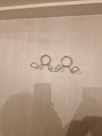 Sluitringen Olympisch 50mm Veerclips, Ophalen of Verzenden, Zo goed als nieuw, Halterstangen