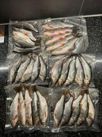 Voorns doodaas vissen, Ophalen, Zo goed als nieuw, Overige typen