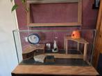 Terrarium hok 80x40x40cm van glas met deksel en toebehoren, Zo goed als nieuw, Ophalen, Minder dan 60 cm, Hok