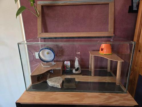 Terrarium hok 80x40x40cm van glas met deksel en toebehoren, Dieren en Toebehoren, Knaagdieren en Konijnen | Hokken en Kooien, Zo goed als nieuw