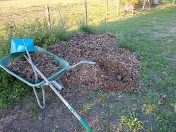 GRATIS biologische paardenmest Wageningen  beschikbaar voor biedingen