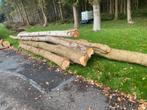 Stammen, Ophalen of Verzenden, Zo goed als nieuw, 250 cm of meer, Palen