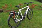 KOGA Pace S10 Framemaat 60 cm 500 Wh accu, Zo goed als nieuw, Overige merken