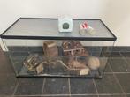 Glazen kooi / terrarium voor een hamster, Dieren en Toebehoren, Knaagdieren en Konijnen | Hokken en Kooien, Kooi, Minder dan 60 cm