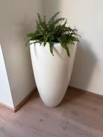 Witte bloempot 90 cm hoog, Tuin en Terras, Bloempotten, Ophalen, Kunststof, 40 cm of meer, Rond