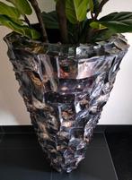 NIEUW UNIEK GROTE SCHELPENVAAS 122CM ERIC ERIK KUSTER, Huis en Inrichting, Ophalen, Overige kleuren, Nieuw, Glas