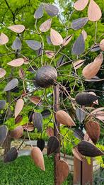 WINDMOLEN / BEUKENBLAD / TUINSTEKER / tuinbeeld, Huis en tuin decoratie Marie, Nieuw, Info@huisentuindecoratiemarie.nl, Peize
