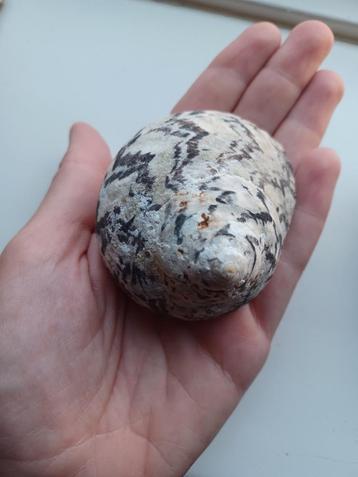 Schelp 1: turbo beschikbaar voor biedingen