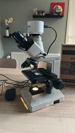 Nikon SE inclusief camera en polarisatie filters !, Ophalen of Verzenden, Gebruikt, Minder dan 400x, Biologische microscoop