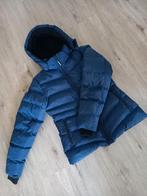 Winterjas dames S Cars jeans., Kleding | Dames, Jassen | Winter, Blauw, Ophalen of Verzenden, Zo goed als nieuw, Maat 36 (S)