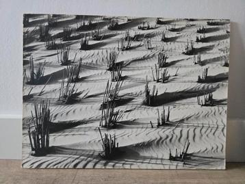 Wedstrijdfoto hoofdklasse dec. 1967: zwart/wit foto €25 beschikbaar voor biedingen