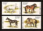Nederlandse Antillen 1131/4 postfris Paarden 1996, Postzegels en Munten, Postzegels | Nederlandse Antillen en Aruba, Ophalen of Verzenden